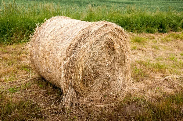 Bale in the countryside — Stock Photo, Image