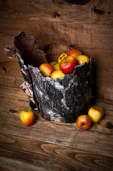 Кора дерева з яблуками на дерев'яному фоні — стокове фото