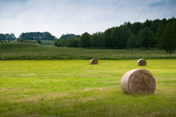 Zomer weiland met gouden Balen — Stockfoto