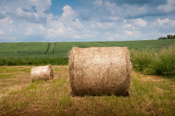 Zomer weiland met gouden Balen — Stockfoto