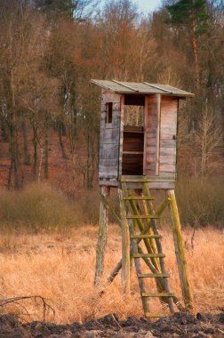 Kutusu stand bir orman kenarında baharda