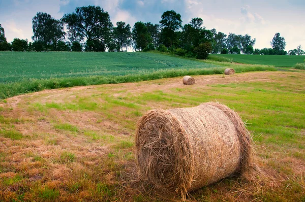 Zomer weiland met gouden Balen — Stockfoto