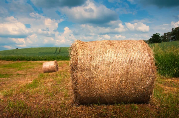 Zomer weiland met gouden Balen — Stockfoto