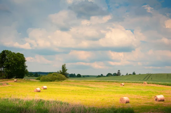 Sommerwiese mit goldenen Ballen — Stockfoto