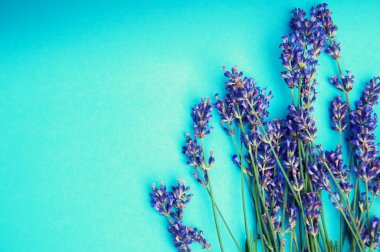 Heather çiçekli çerçeve mavi zemin üzerine