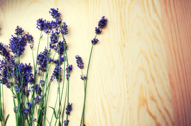 Heather çiçekli çerçeve mavi zemin üzerine