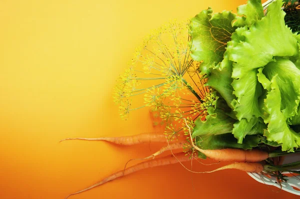 Wortel, salad dan adas pada latar belakang oranye — Stok Foto