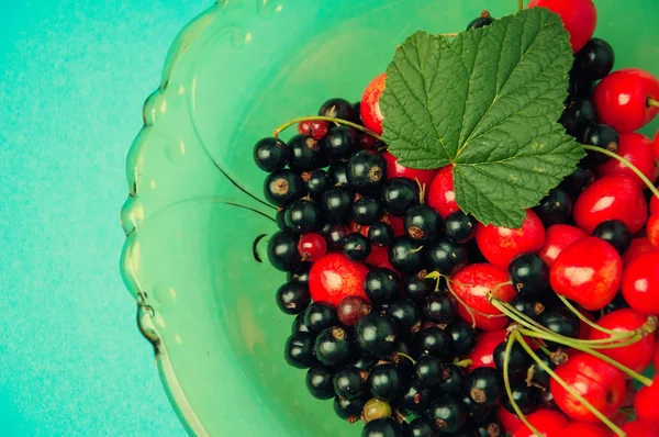 Cassis et cerises sur fond bleu — Photo