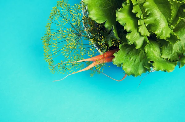 Wortel, salad dan adas pada latar belakang biru — Stok Foto