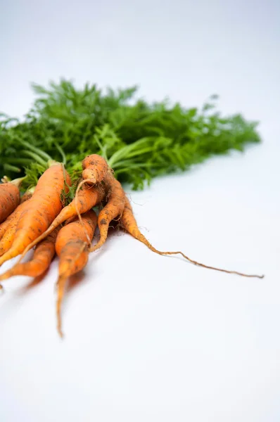 Carrots on white background — Stock Photo, Image