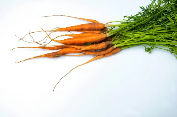 Porkkanat valkoisella pohjalla — kuvapankkivalokuva
