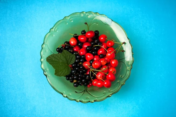 Cassis et cerises sur fond bleu. Espace de copie — Photo