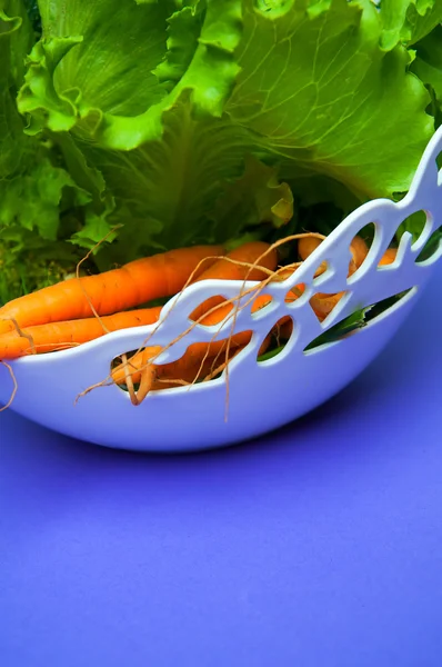 Wortel, salad dan adas pada latar belakang ungu — Stok Foto
