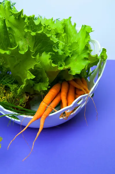 Cenouras, salada e erva-doce sobre fundo violeta — Fotografia de Stock