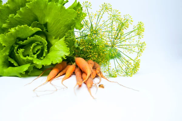 लाकडी टेबलवर गाजर, सॅलड आणि फेनेल — स्टॉक फोटो, इमेज