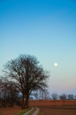 Erken Bahar akşam aya ülke ile