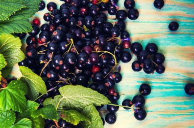 Mavi ahşap arka plan üzerinde Siyah frenk üzümü