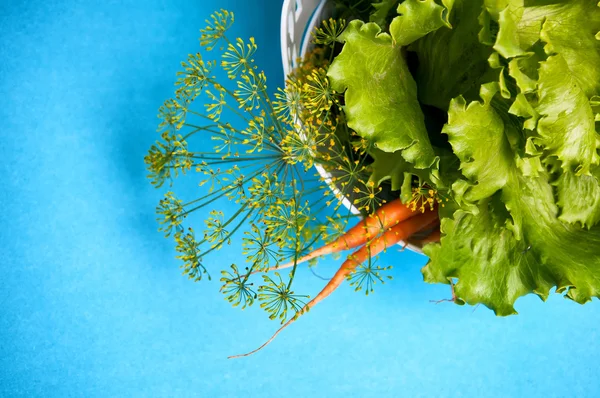Wortel, salad dan adas pada latar belakang biru — Stok Foto