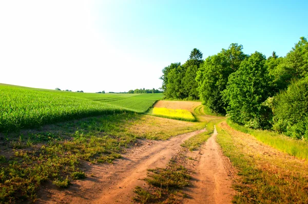 Estrada rural arenosa através dos campos — Fotografia de Stock