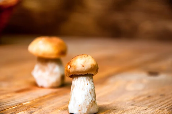 Bolet de champignons sur table en bois — Photo