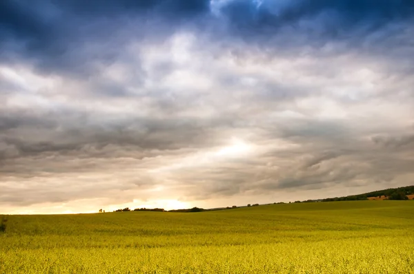 Alanları üzerinde dramatik günbatımı