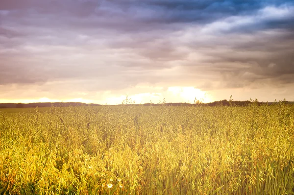 Pôr-do-sol dramático sobre campos — Fotografia de Stock