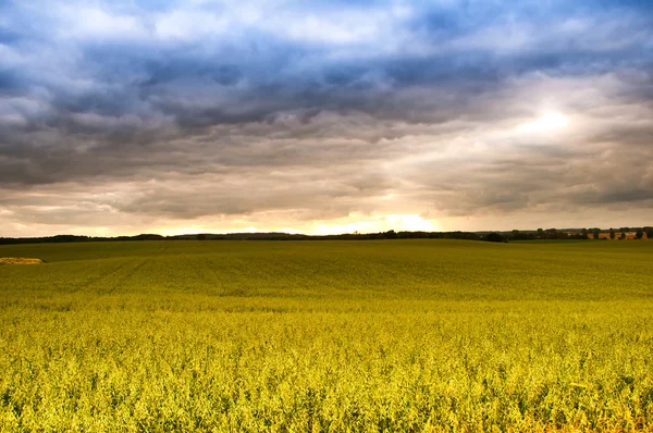 Drammatico tramonto sui campi — Foto Stock