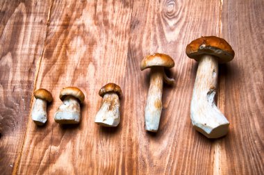 Ahşap masa üzerinde mantar çörek