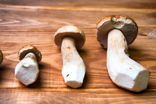 Boleto de cogumelos em mesa de madeira — Fotografia de Stock