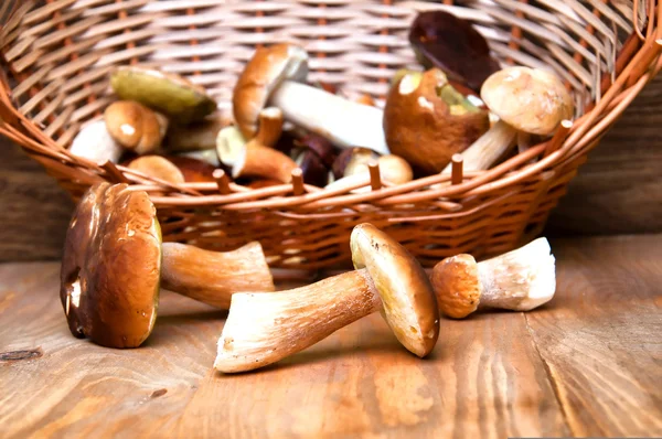 Cogumelos frescos em cesta na mesa de madeira — Fotografia de Stock