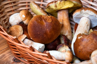 Tahta masada taze mantarlar.