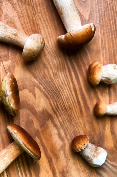 Boleto de cogumelos em mesa de madeira — Fotografia de Stock
