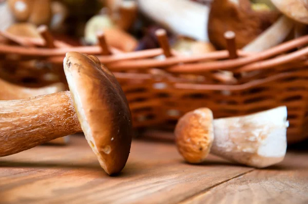 Champignons frais dans le panier sur une table en bois — Photo