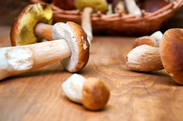 Boleto de cogumelos em mesa de madeira — Fotografia de Stock