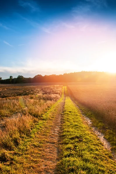 Sandy ülkede yol alanlar arasında