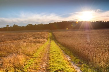 Sandy ülkede yol alanlar arasında
