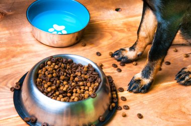 Evcil hayvan köpek silüeti ve yiyecek dolu kase