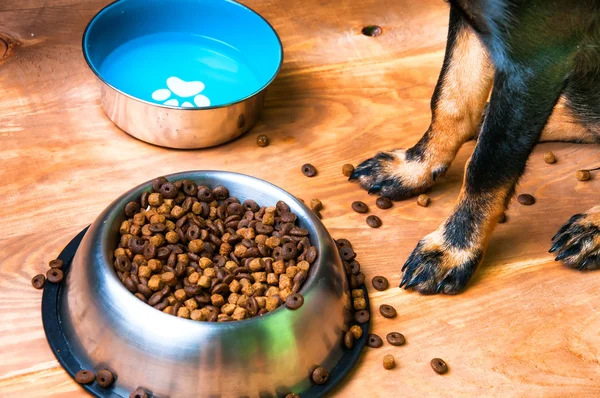 Evcil hayvan köpek silüeti ve yiyecek dolu kase