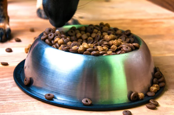 Pets bowl full of food and silhouette of a dog