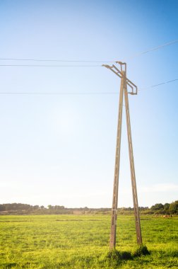 Çayır kutubun telgraf