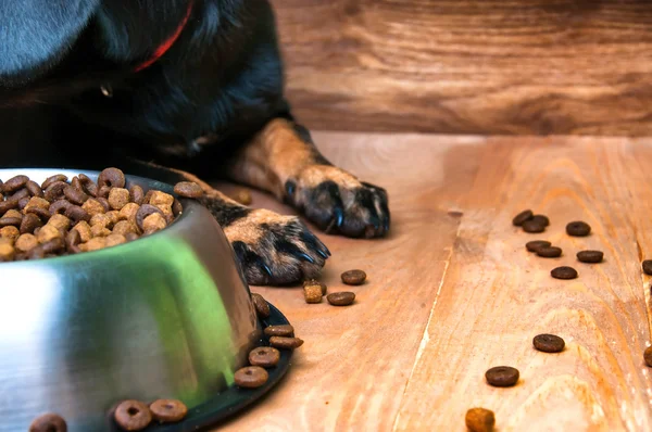 Tigela de animais cheia de comida e silhueta de um cão Imagem De Stock