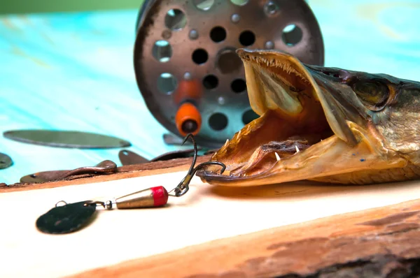 La composición de señuelos de pesca, lucio y carrete pasado de moda — Foto de Stock