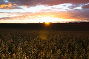 alanlar üzerinde güzel gün batımı