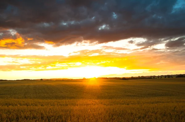 Belo pôr do sol sobre os campos — Fotografia de Stock