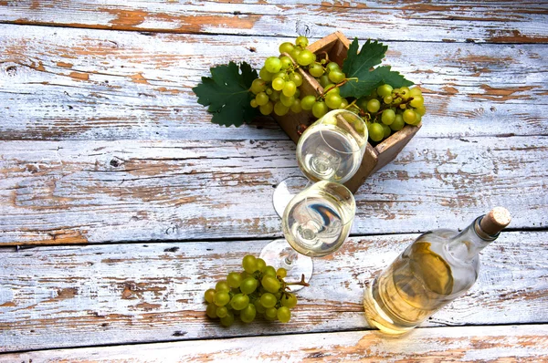 Flasche und Glas Weißwein und Trauben — Stockfoto