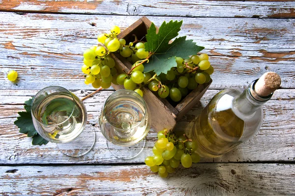 Flasche und Glas Weißwein und Trauben — Stockfoto