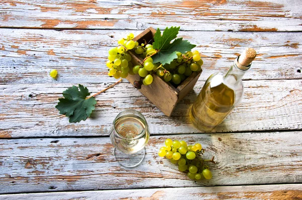 Flasche und Glas Weißwein und Trauben — Stockfoto