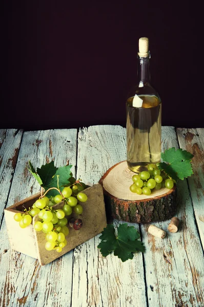 Láhev bílého vína a hroznů — Stock fotografie