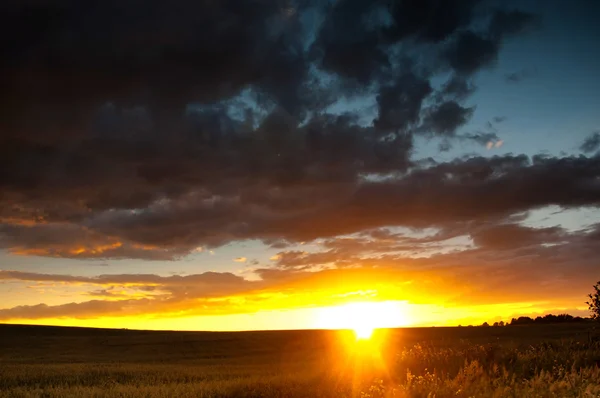 フィールドの美しい夕日 — ストック写真