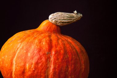 Siyah arka plan üzerine balkabağı. Boşaltmak